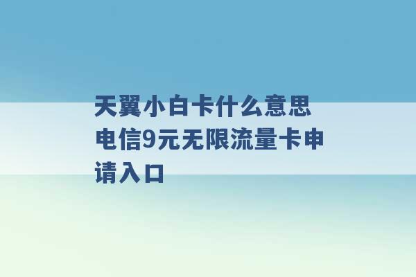 天翼小白卡什么意思 电信9元无限流量卡申请入口 -第1张图片-电信联通移动号卡网