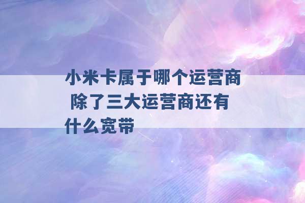 小米卡属于哪个运营商 除了三大运营商还有什么宽带 -第1张图片-电信联通移动号卡网