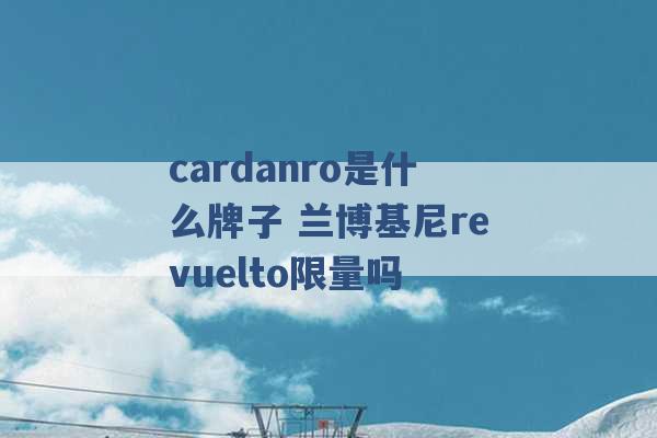 cardanro是什么牌子 兰博基尼revuelto限量吗 -第1张图片-电信联通移动号卡网