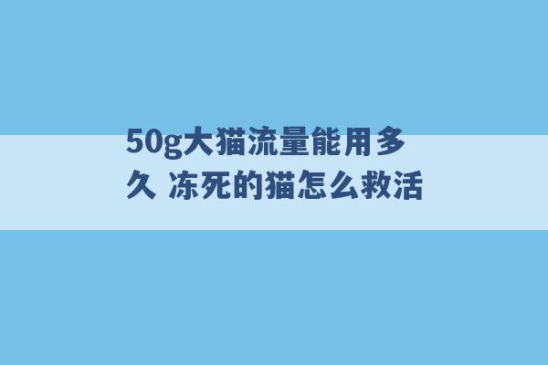 50g大猫流量能用多久 冻死的猫怎么救活 -第1张图片-电信联通移动号卡网