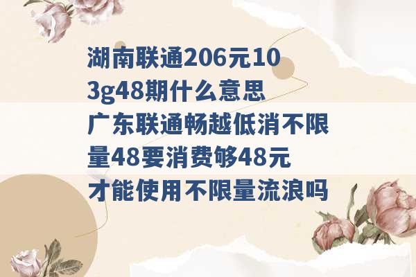 湖南联通206元103g48期什么意思 广东联通畅越低消不限量48要消费够48元才能使用不限量流浪吗 -第1张图片-电信联通移动号卡网