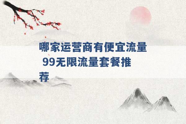 哪家运营商有便宜流量 99无限流量套餐推荐 -第1张图片-电信联通移动号卡网