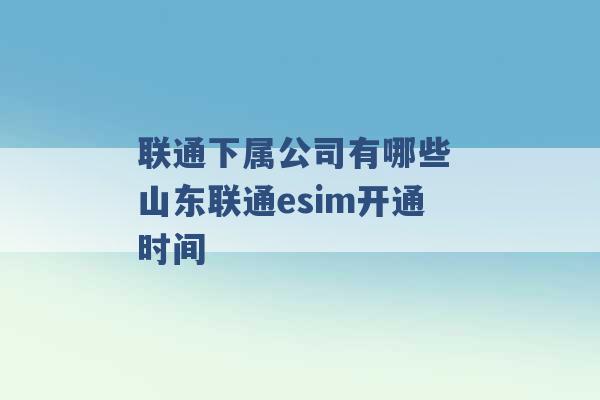 联通下属公司有哪些 山东联通esim开通时间 -第1张图片-电信联通移动号卡网