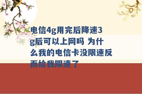 电信4g用完后降速3g后可以上网吗 为什么我的电信卡没限速反而给我限速了 -第1张图片-电信联通移动号卡网