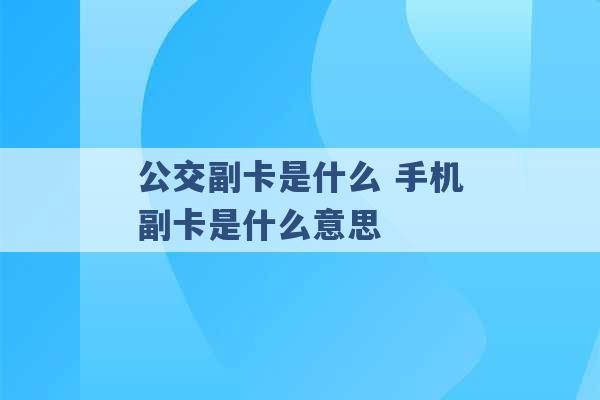 公交副卡是什么 手机副卡是什么意思 -第1张图片-电信联通移动号卡网