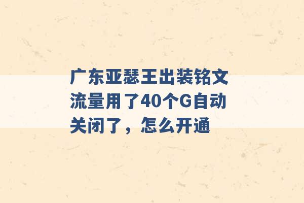 广东亚瑟王出装铭文 流量用了40个G自动关闭了，怎么开通 -第1张图片-电信联通移动号卡网