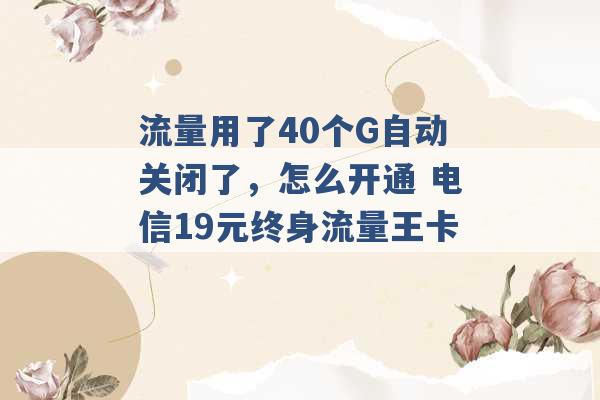 流量用了40个G自动关闭了，怎么开通 电信19元终身流量王卡 -第1张图片-电信联通移动号卡网