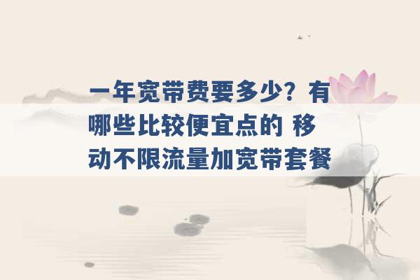 一年宽带费要多少？有哪些比较便宜点的 移动不限流量加宽带套餐 -第1张图片-电信联通移动号卡网