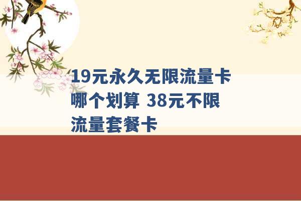 19元永久无限流量卡哪个划算 38元不限流量套餐卡 -第1张图片-电信联通移动号卡网