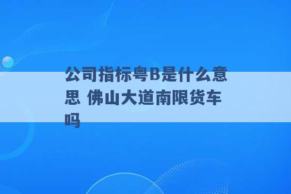 公司指标粤B是什么意思 佛山大道南限货车吗 -第1张图片-电信联通移动号卡网