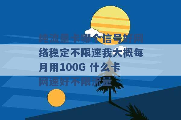 纯流量卡哪个信号好网络稳定不限速我大概每月用100G 什么卡网速好不限流量 -第1张图片-电信联通移动号卡网