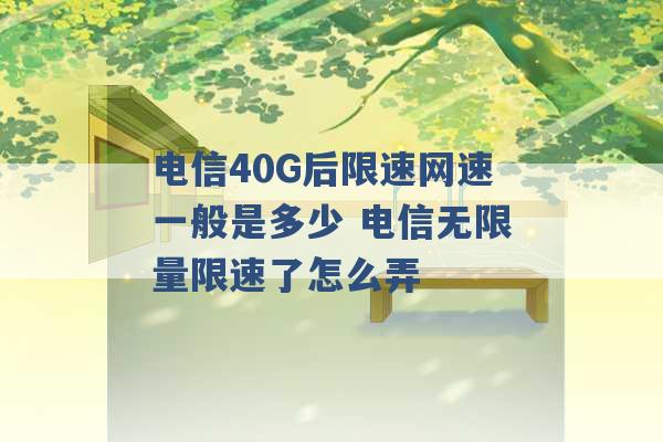 电信40G后限速网速一般是多少 电信无限量限速了怎么弄 -第1张图片-电信联通移动号卡网