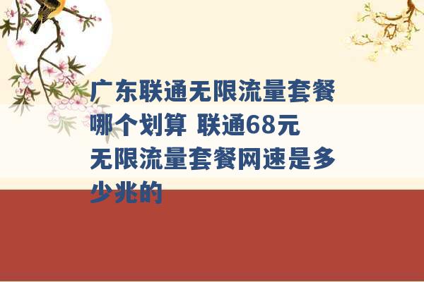 广东联通无限流量套餐哪个划算 联通68元无限流量套餐网速是多少兆的 -第1张图片-电信联通移动号卡网