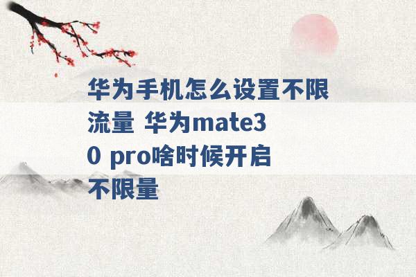 华为手机怎么设置不限流量 华为mate30 pro啥时候开启不限量 -第1张图片-电信联通移动号卡网