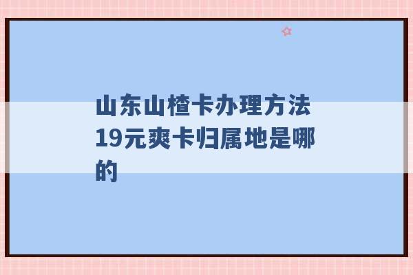 山东山楂卡办理方法 19元爽卡归属地是哪的 -第1张图片-电信联通移动号卡网