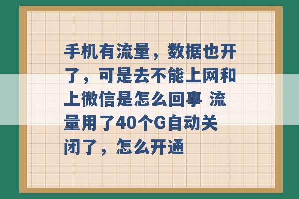 手机有流量，数据也开了，可是去不能上网和上微信是怎么回事 流量用了40个G自动关闭了，怎么开通 -第1张图片-电信联通移动号卡网