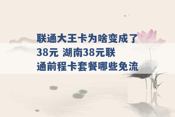 联通大王卡为啥变成了38元 湖南38元联通前程卡套餐哪些免流 -第1张图片-电信联通移动号卡网