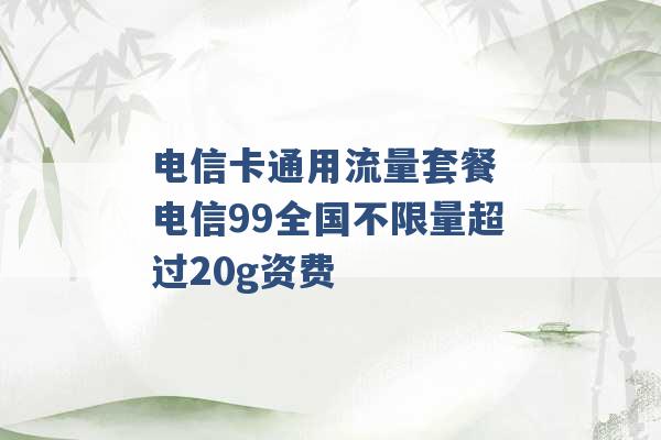 电信卡通用流量套餐 电信99全国不限量超过20g资费 -第1张图片-电信联通移动号卡网