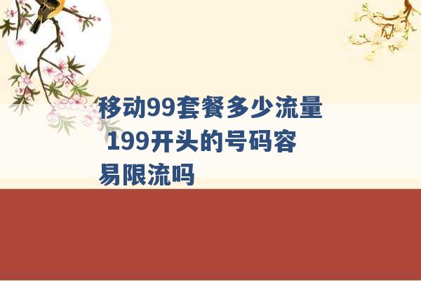 移动99套餐多少流量 199开头的号码容易限流吗 -第1张图片-电信联通移动号卡网