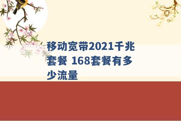 移动宽带2021千兆套餐 168套餐有多少流量 -第1张图片-电信联通移动号卡网