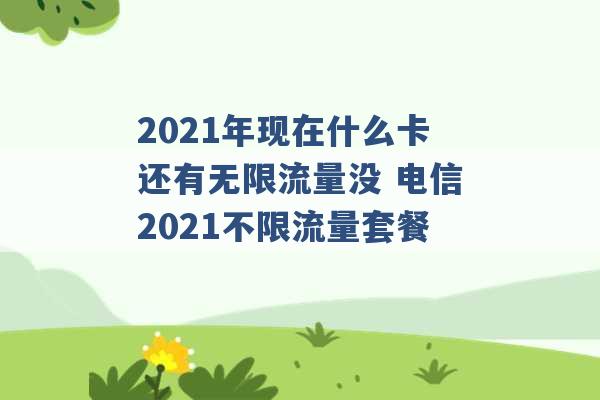 2021年现在什么卡还有无限流量没 电信2021不限流量套餐 -第1张图片-电信联通移动号卡网