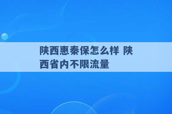 陕西惠秦保怎么样 陕西省内不限流量 -第1张图片-电信联通移动号卡网