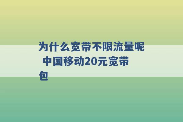 为什么宽带不限流量呢 中国移动20元宽带包 -第1张图片-电信联通移动号卡网