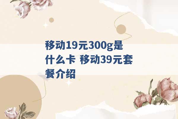 移动19元300g是什么卡 移动39元套餐介绍 -第1张图片-电信联通移动号卡网