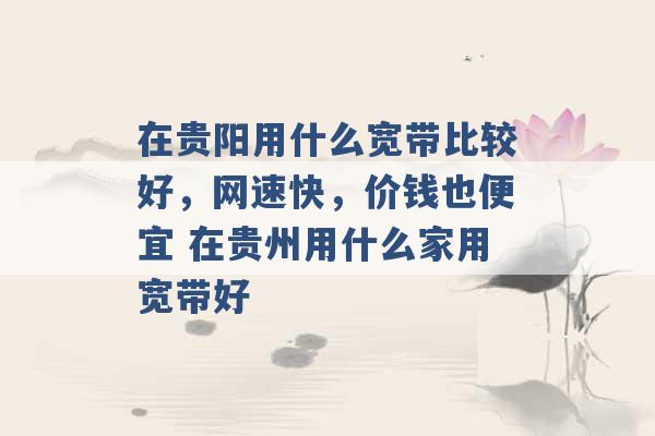 在贵阳用什么宽带比较好，网速快，价钱也便宜 在贵州用什么家用宽带好 -第1张图片-电信联通移动号卡网