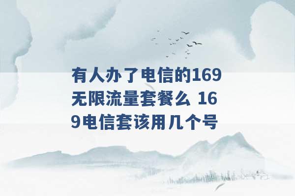 有人办了电信的169无限流量套餐么 169电信套该用几个号 -第1张图片-电信联通移动号卡网