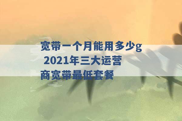 宽带一个月能用多少g 2021年三大运营商宽带最低套餐 -第1张图片-电信联通移动号卡网