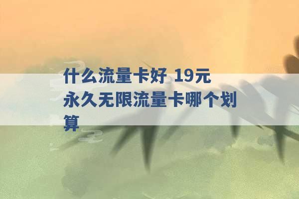 什么流量卡好 19元永久无限流量卡哪个划算 -第1张图片-电信联通移动号卡网