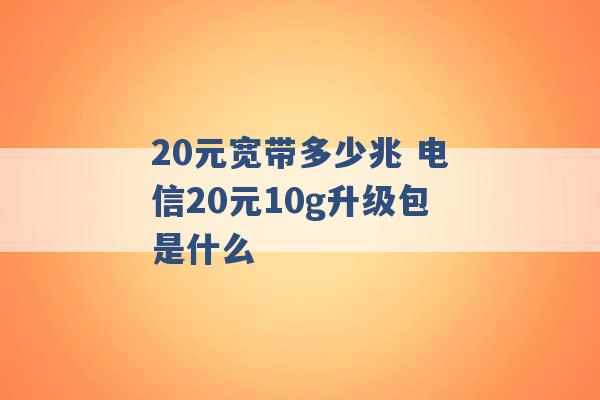 20元宽带多少兆 电信20元10g升级包是什么 -第1张图片-电信联通移动号卡网