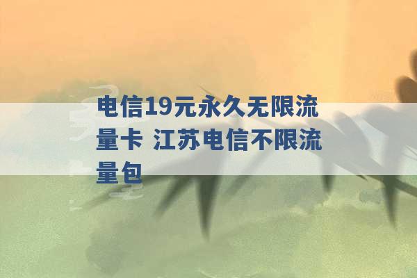 电信19元永久无限流量卡 江苏电信不限流量包 -第1张图片-电信联通移动号卡网