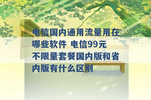 电信国内通用流量用在哪些软件 电信99元不限量套餐国内版和省内版有什么区别 -第1张图片-电信联通移动号卡网