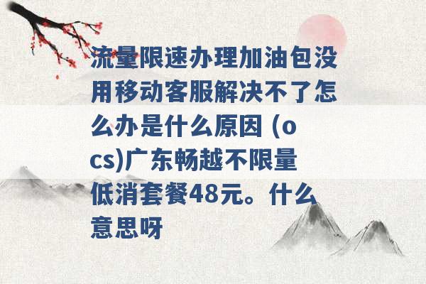 流量限速办理加油包没用移动客服解决不了怎么办是什么原因 (ocs)广东畅越不限量低消套餐48元。什么意思呀 -第1张图片-电信联通移动号卡网