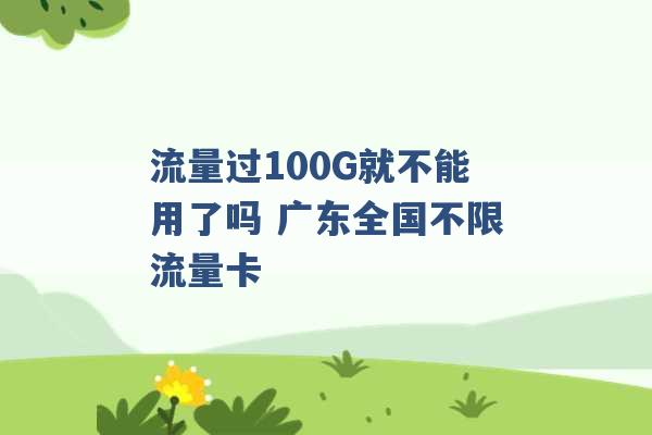 流量过100G就不能用了吗 广东全国不限流量卡 -第1张图片-电信联通移动号卡网