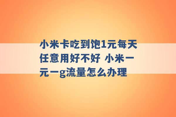 小米卡吃到饱1元每天任意用好不好 小米一元一g流量怎么办理 -第1张图片-电信联通移动号卡网