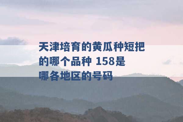 天津培育的黄瓜种短把的哪个品种 158是哪各地区的号码 -第1张图片-电信联通移动号卡网