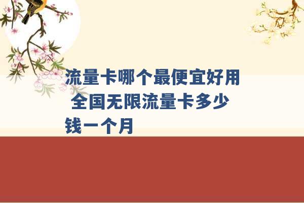 流量卡哪个最便宜好用 全国无限流量卡多少钱一个月 -第1张图片-电信联通移动号卡网