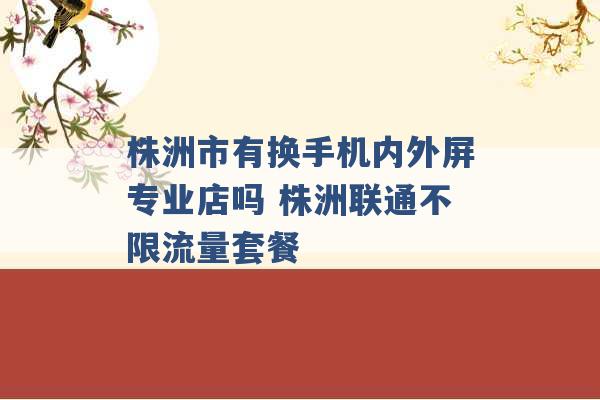 株洲市有换手机内外屏专业店吗 株洲联通不限流量套餐 -第1张图片-电信联通移动号卡网