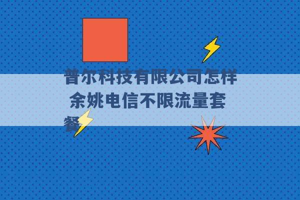 普尔科技有限公司怎样 余姚电信不限流量套餐 -第1张图片-电信联通移动号卡网