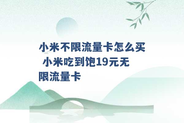 小米不限流量卡怎么买 小米吃到饱19元无限流量卡 -第1张图片-电信联通移动号卡网