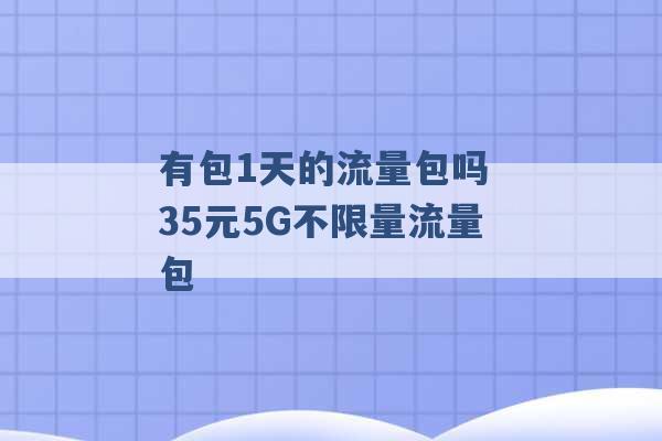 有包1天的流量包吗 35元5G不限量流量包 -第1张图片-电信联通移动号卡网