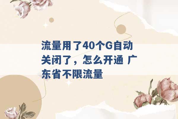 流量用了40个G自动关闭了，怎么开通 广东省不限流量 -第1张图片-电信联通移动号卡网