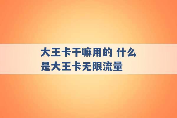 大王卡干嘛用的 什么是大王卡无限流量 -第1张图片-电信联通移动号卡网