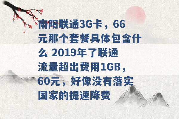 南阳联通3G卡，66元那个套餐具体包含什么 2019年了联通流量超出费用1GB，60元，好像没有落实国家的提速降费 -第1张图片-电信联通移动号卡网