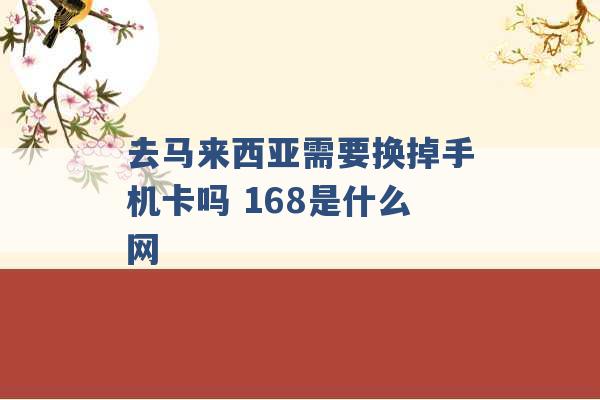 去马来西亚需要换掉手机卡吗 168是什么网 -第1张图片-电信联通移动号卡网