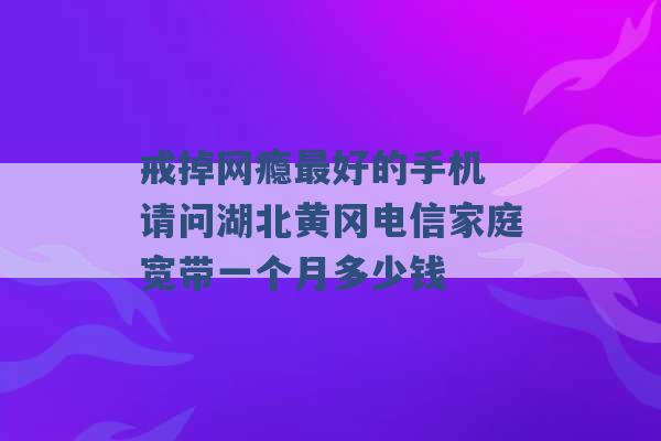 戒掉网瘾最好的手机 请问湖北黄冈电信家庭宽带一个月多少钱 -第1张图片-电信联通移动号卡网