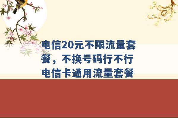 电信20元不限流量套餐，不换号码行不行 电信卡通用流量套餐 -第1张图片-电信联通移动号卡网